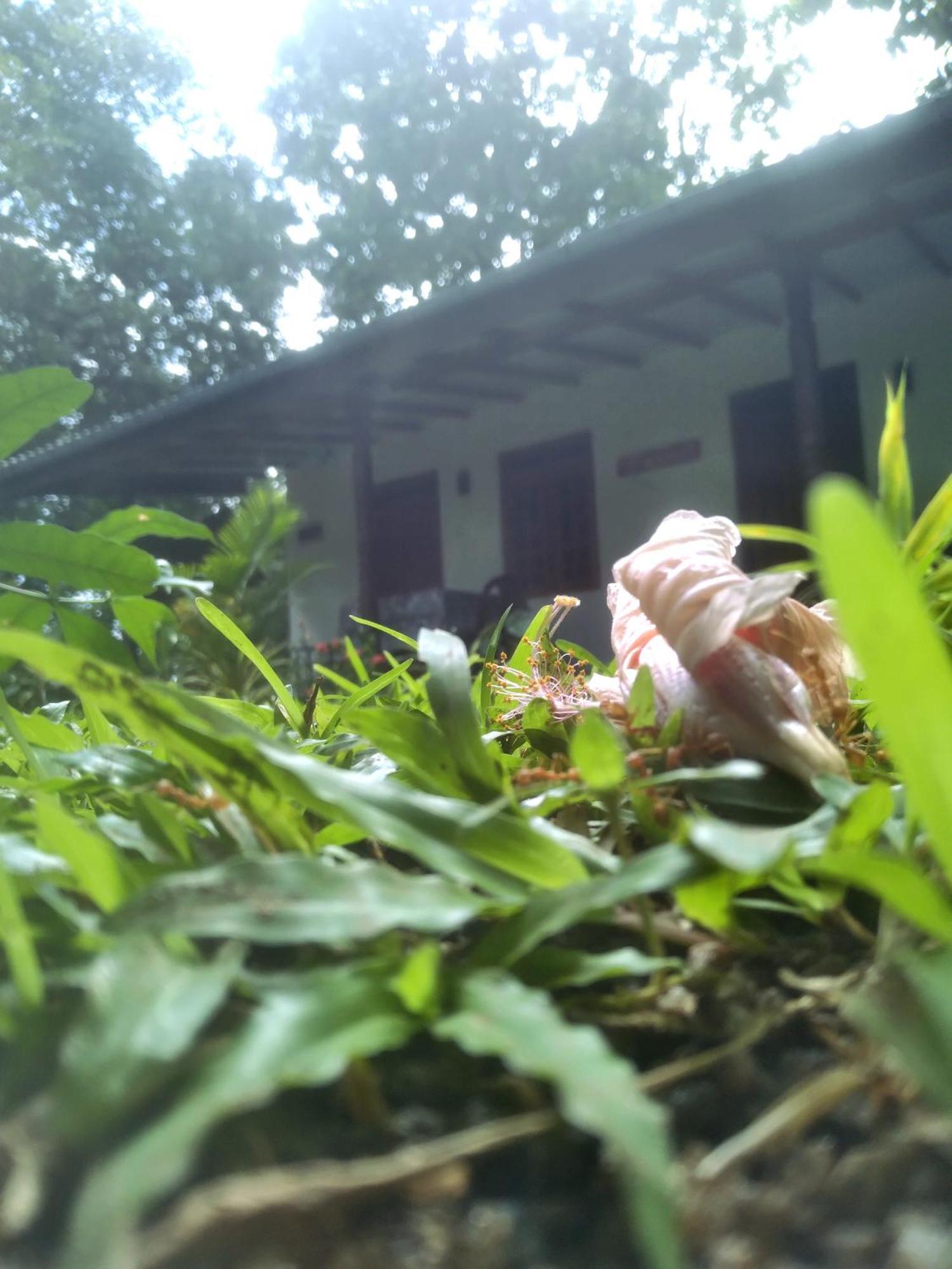 Sigiriya Hillside View Villa Luaran gambar