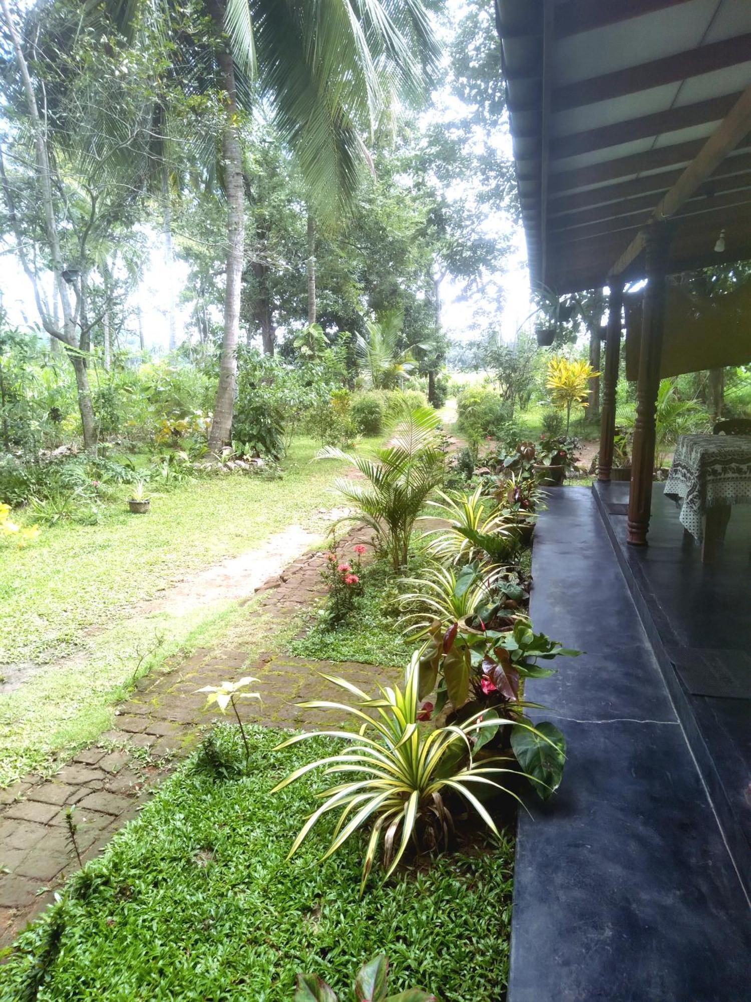 Sigiriya Hillside View Villa Luaran gambar